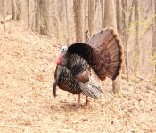 2014 04 27 WestwoodHills 003